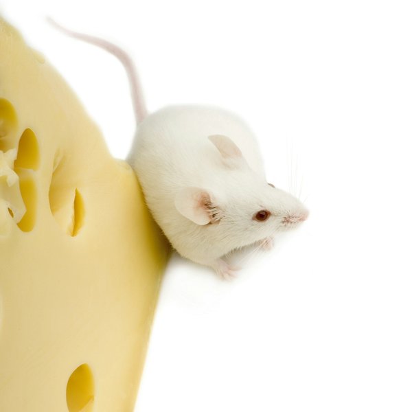 Quels critères pour sélectionner une souris de gaming avec réglage DPI personnalisé?