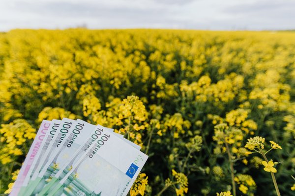 Est-ce rentable d'acheter un terrain ?